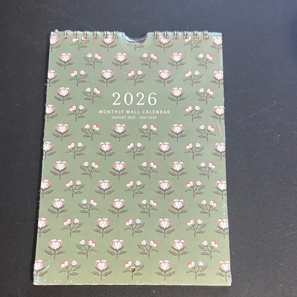 Punch studio 18 month mini hanging calendar from 08/25-07/26